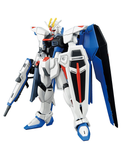 1/144 HGCE ZGMF-X10A Freedom Gundam (Revive)